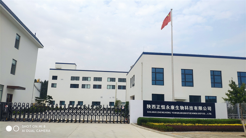陜西正恒永康生物科技保健品中藥前處理及提取車(chē)間生產(chǎn)線建設(shè)項(xiàng)目